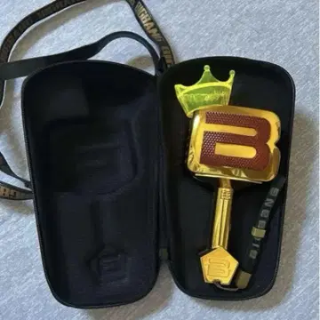 BIGBANG 응원봉 케이스