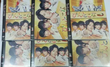 핀토코나 DVD 전 6권 세트