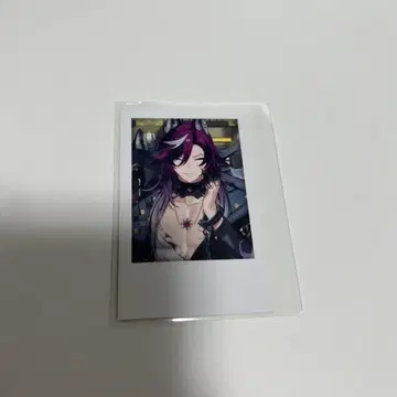 니지산지 가요제 2024 도피오 드롭사이트 Doppio 폴라로이드풍 카드