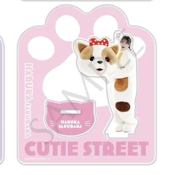 CUTIE STREET 사쿠라바 하루카 아크릴 스탠드 고양이 인형옷