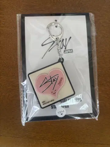 스키즈 아이엔 보이스 참