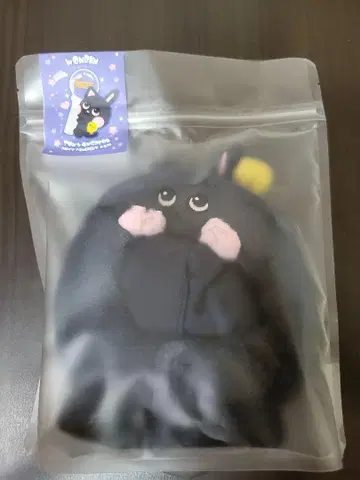 RIIZE 원빈 응원봉 커버
