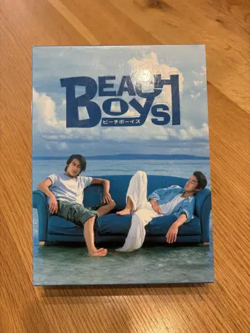 비치 보이즈 BEACHBOYS DVD