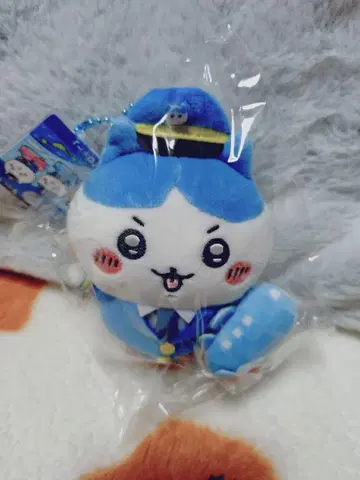 치이카와(먼작귀) 지역 한정 마스코트 공항 한정판 하치와레
