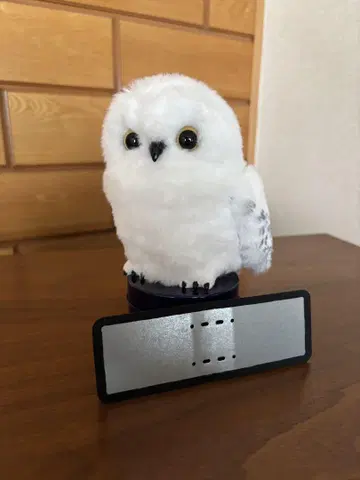USJ 구매 말하는 헤드윅 봉제 인형