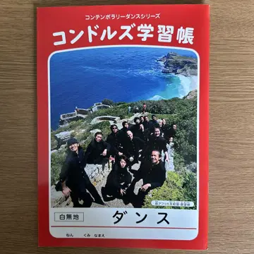 콘도르 학습 노트