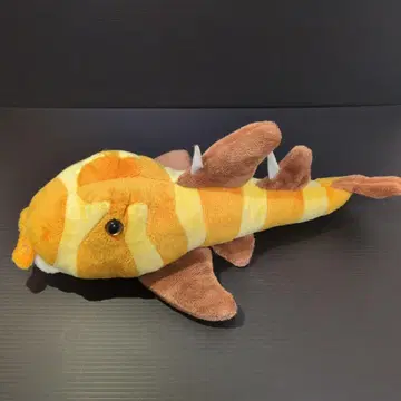 고양이 상어 봉제 인형