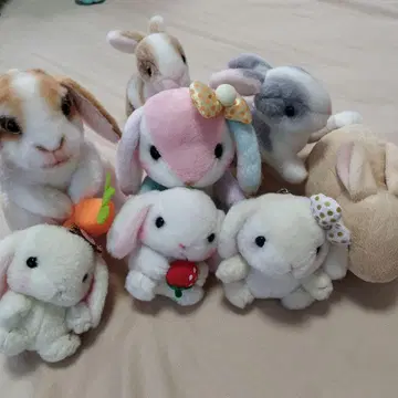 토끼 봉제 인형 세트