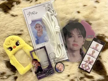 straykids 스트레이 키즈 Felix 필릭스 피리 폰 탭