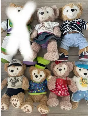 더피 세트 아울라니 월트 디즈니 월드