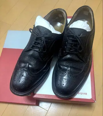 [ 새상품 ] REGAL 윙 칩 25EE