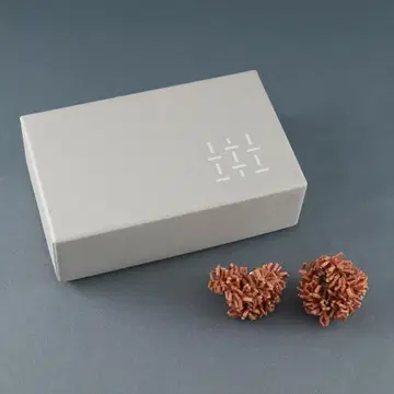 itiiti igusa twin USED 컨디션 최상 이그사 귀찌