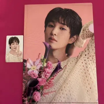 Onew Saku 클리어 파일과 트레카 세트