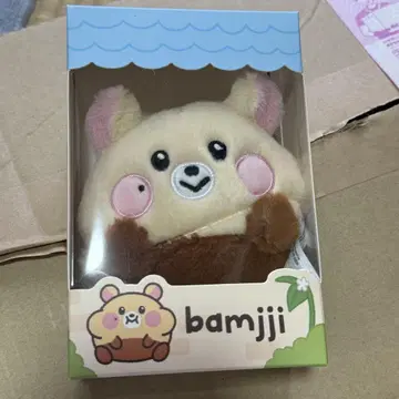 미개봉 새상품 NCT DREAM Dreamiez 지성 bamjji