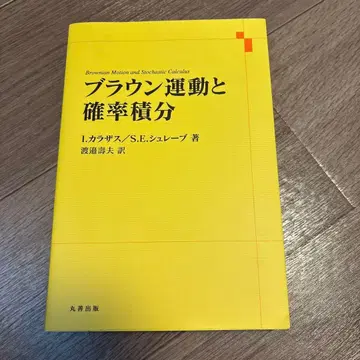 브라운 운동과 확률 적분