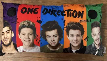 1D 굿즈 세트 14점 쿠션 토트백 키링 배지