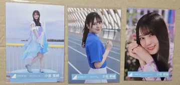 히나타자카46 브로마이드 코사카 나오