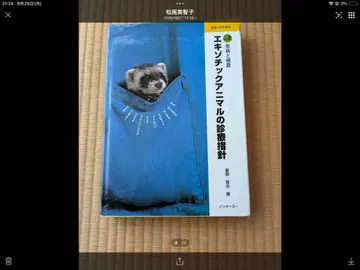 이국적인 애니멀 진료 지침