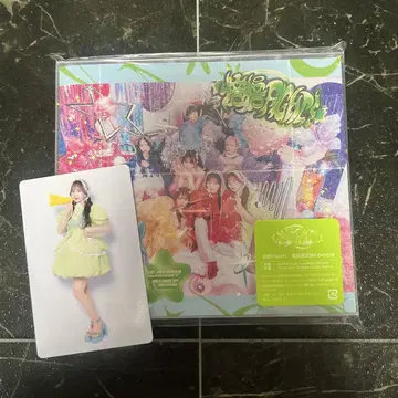 배배 FIGHT! 최초 한정 B DVD 포함