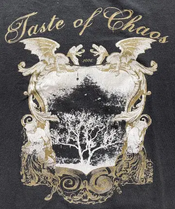 Deftone Taste of Chaos 00s 셔츠