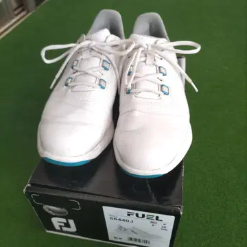 풋조이 골프화 26