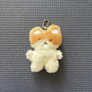 트레기 키링 백현