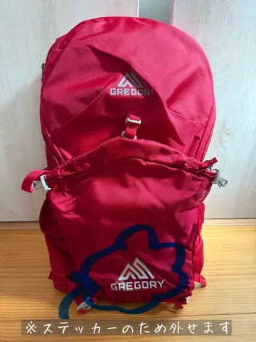 그레고리 등산 백팩 루비 레드 J28