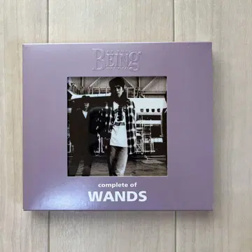 complete of WANDS at the BEING studio