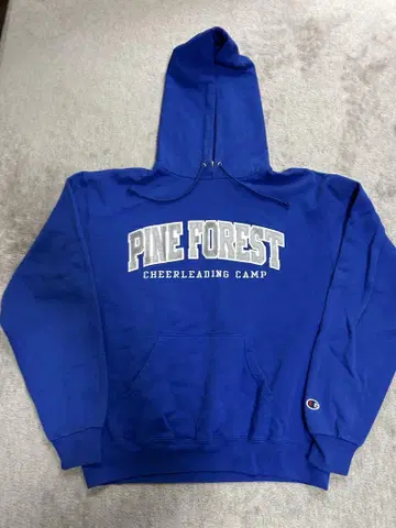 Champion PINE FOREST 후드티 M 구제 의류