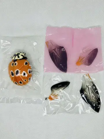 생물대도감 어드밴스 무당벌레 02 운문무당벌레
