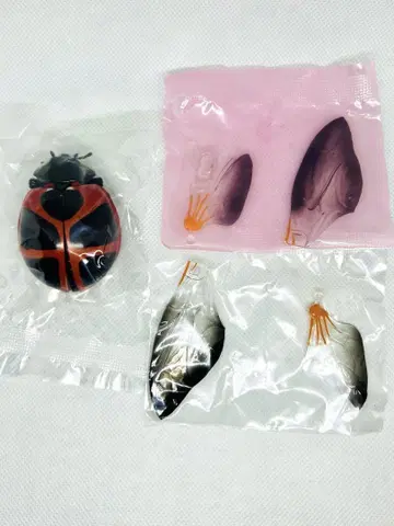 생물대도감 어드밴스 무당벌레 02 큰무당벌레 2