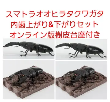가샤폰 온라인 스마트라 오오히라타 사슴벌레 생물대도감 수피 받침대 세트