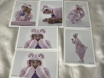 초특급 마사히로 생사진 B9 타카시 프로듀스 컴프