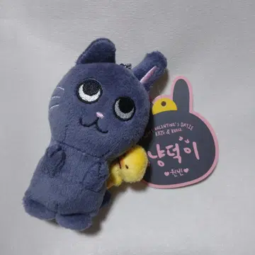 RIIZE 원빈 토냥이 10cm 인형 키링