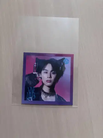 초특급 타쿠야 NINE LIVES 타워 레코드 스티커