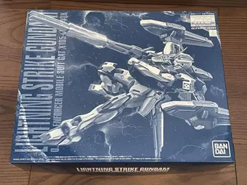 MG 1/100 라이트닝 스트라이크 건담 Ver.RM
