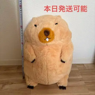 마모트의 모토토 봉제 인형 울트라 big 보바군