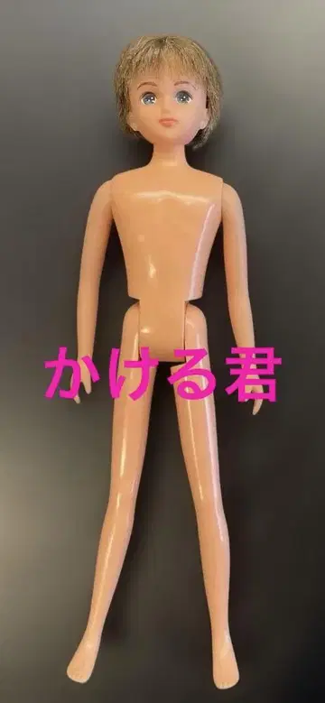 일본제 리카짱 보이프렌드 카케루군 본체만 타카라토미