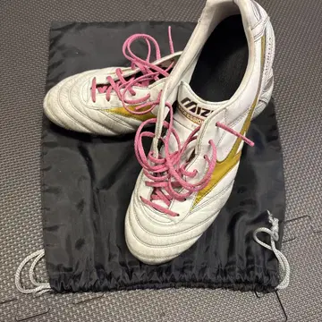 Mizuno Professional Model 축구화