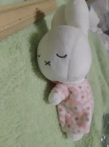 브루나 스야스야 프렌드 미피