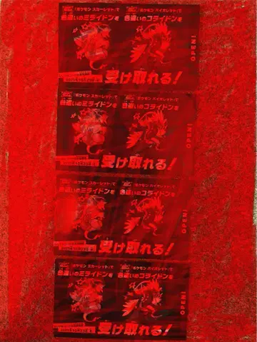 포켓몬 4장 세트