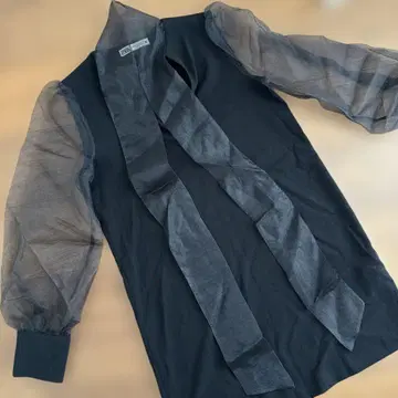ZARA 시스루 소매 리본 포함 블랙 원피스