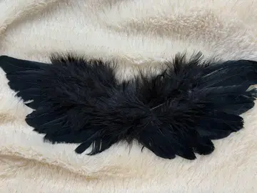 깃털 블랙 할로윈 봉제 인형