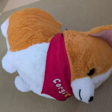 [ 미사용 새상품 ] 특대형! 코기 봉제 인형 반다나 포함