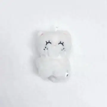 straykids 필릭스 봉제 인형 마스터