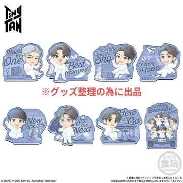 bts tinytan 반다이 캐릭터 마그넷