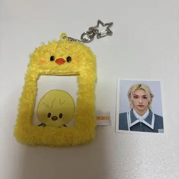 StrayKids ID 포토홀더, ID 카드 필릭스 포가리