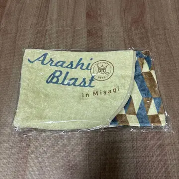 아라시 BLAST in 미야기 공식 굿즈