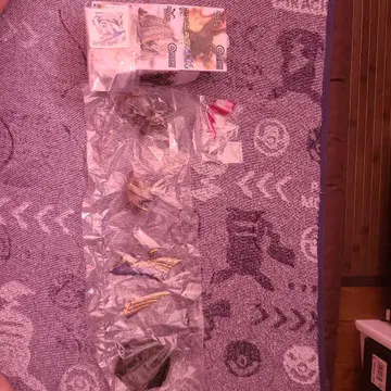 몬스터 헌터 피규어 vol.26 멜제나