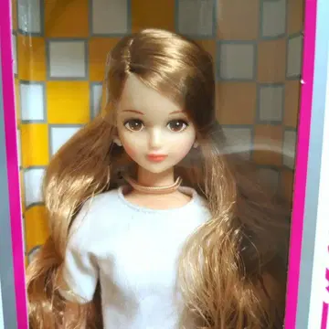 시온 리카짱 캐슬 DS 모델